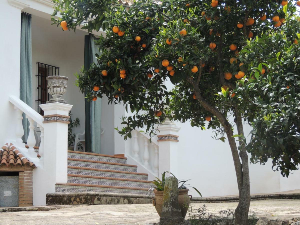 Casas Del Madrono Villa Cazalla de la Sierra Buitenkant foto